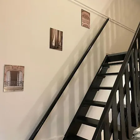 Szálloda Hegedu 5 , Stylish *